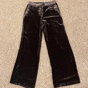 Ann Taylor velvet pants